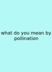 What Do You Mean By Pollination