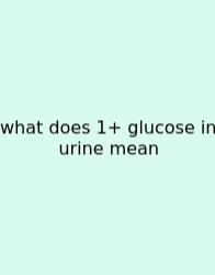 What Does 1+ Glucose In Urine Mean