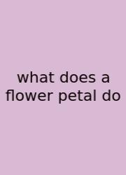 What Does A Flower Petal Do