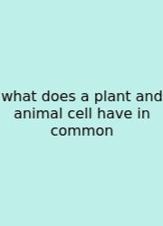 What Does A Plant And Animal Cell Have In Common