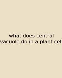 What Does Central Vacuole Do In A Plant Cell