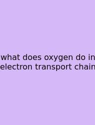 What Does Oxygen Do In Electron Transport Chain