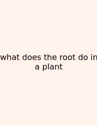 What Does The Root Do In A Plant