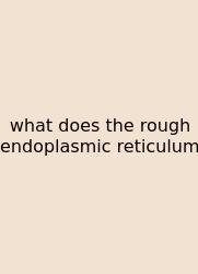 What Does The Rough Endoplasmic Reticulum