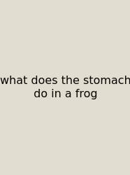 What Does The Stomach Do In A Frog