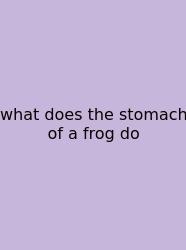 What Does The Stomach Of A Frog Do