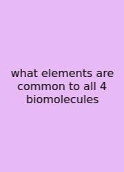 What Elements Are Common To All 4 Biomolecules
