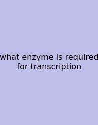 What Enzyme Is Required For Transcription