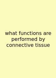 What Functions Are Performed By Connective Tissue
