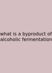 What Is A Byproduct Of Alcoholic Fermentation