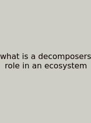 What Is A Decomposers Role In An Ecosystem