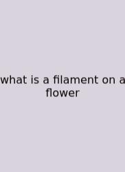 What Is A Filament On A Flower