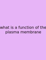 What Is A Function Of The Plasma Membrane