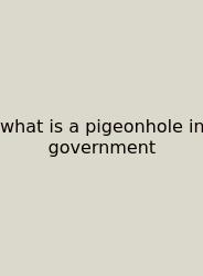 What Is A Pigeonhole In Government