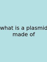 What Is A Plasmid Made Of