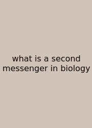 What Is A Second Messenger In Biology