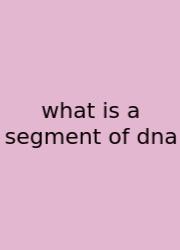 What Is A Segment Of Dna