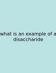 What Is An Example Of A Disaccharide