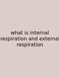 What Is Internal Respiration And External Respiration