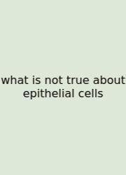 What Is Not True About Epithelial Cells