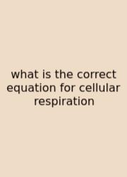 What Is The Correct Equation For Cellular Respiration