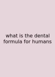 What Is The Dental Formula For Humans