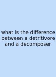 What Is The Difference Between A Detritivore And A Decomposer