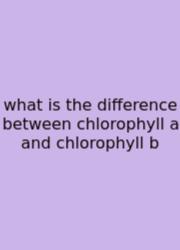 What Is The Difference Between Chlorophyll A And Chlorophyll B