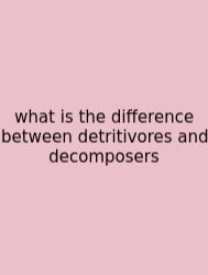 What Is The Difference Between Detritivores And Decomposers