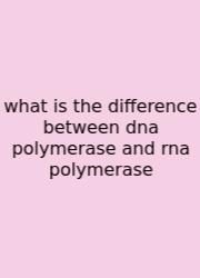 What Is The Difference Between Dna Polymerase And Rna Polymerase