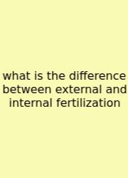 What Is The Difference Between External And Internal Fertilization