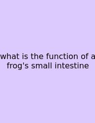 What Is The Function Of A Frog's Small Intestine