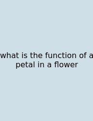 What Is The Function Of A Petal In A Flower