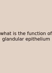 What Is The Function Of Glandular Epithelium