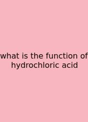 What Is The Function Of Hydrochloric Acid