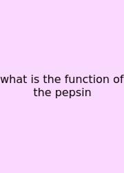 What Is The Function Of The Pepsin