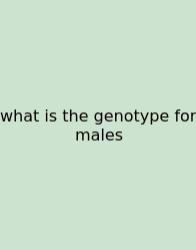 What Is The Genotype For Males