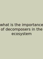 What Is The Importance Of Decomposers In The Ecosystem