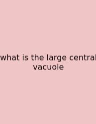 What Is The Large Central Vacuole