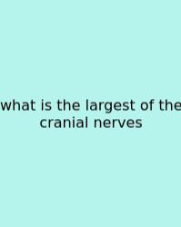 What Is The Largest Of The Cranial Nerves