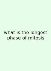 What Is The Longest Phase Of Mitosis