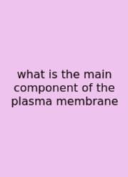 What Is The Main Component Of The Plasma Membrane