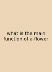 What Is The Main Function Of A Flower