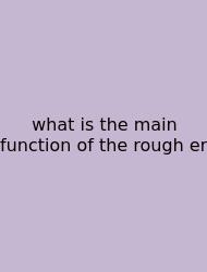 What Is The Main Function Of The Rough Er