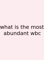 What Is The Most Abundant Wbc