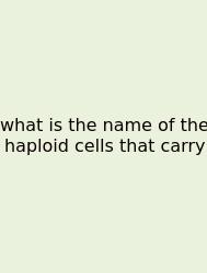 What Is The Name Of The Haploid Cells That Carry