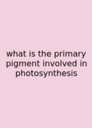 What Is The Primary Pigment Involved In Photosynthesis