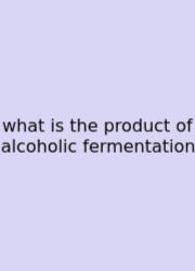 What Is The Product Of Alcoholic Fermentation