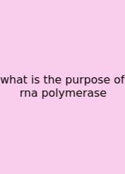 What Is The Purpose Of Rna Polymerase