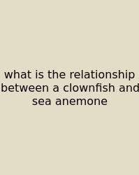 What Is The Relationship Between A Clownfish And Sea Anemone